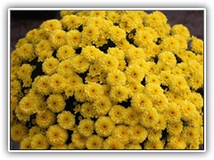 028